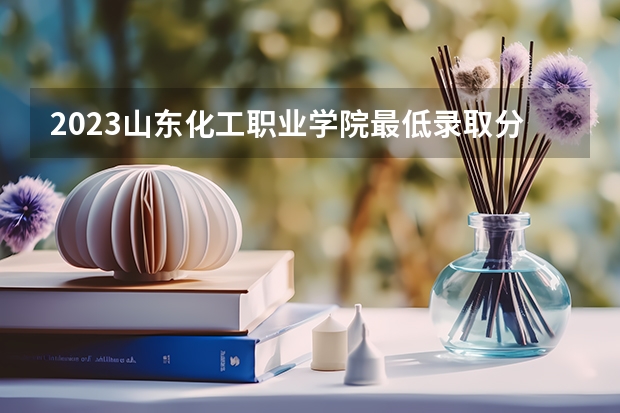 2023山东化工职业学院最低录取分数线是多少 山东历年录取分数线