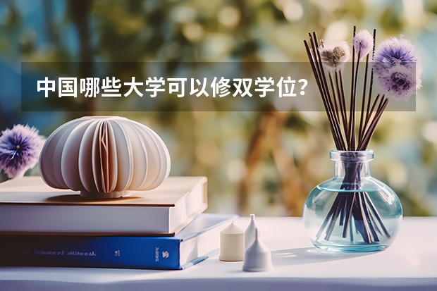 中国哪些大学可以修双学位？