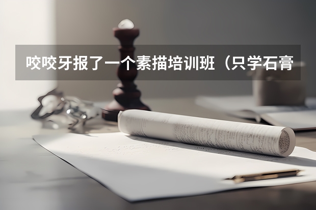 咬咬牙报了一个素描培训班（只学石膏几何），学完后能在家自学吗？内容较长，分高，有耐心的朋友帮帮我呀