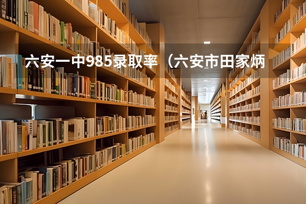 六安一中985录取率(六安市田家炳中学高考成绩)