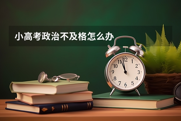 小高考政治不及格怎么办