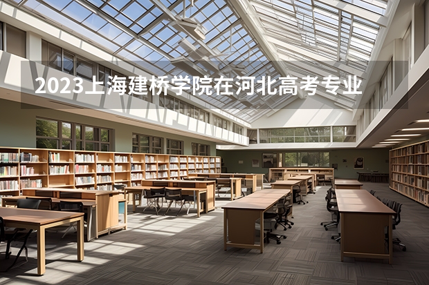 2023上海建桥学院在河北高考专业招生计划人数