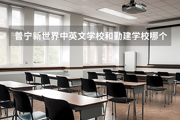 普宁新世界中英文学校和勤建学校哪个好?