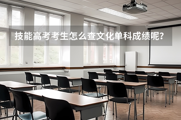 技能高考考生怎么查文化单科成绩呢？