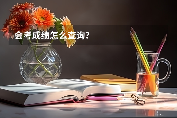 会考成绩怎么查询？