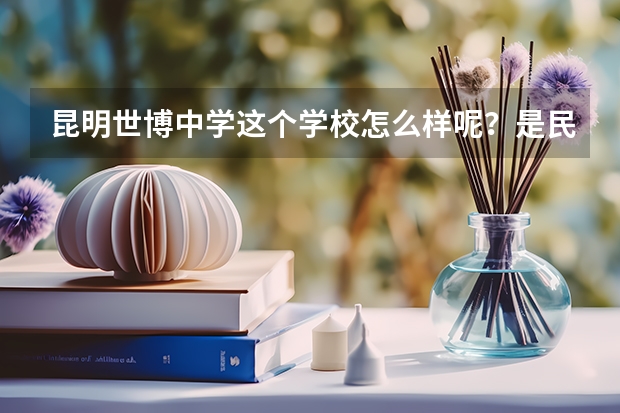 昆明世博中学这个学校怎么样呢?是民办还是公办?