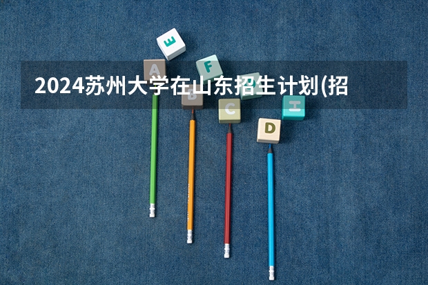 2024苏州大学在山东招生计划(招生人数)