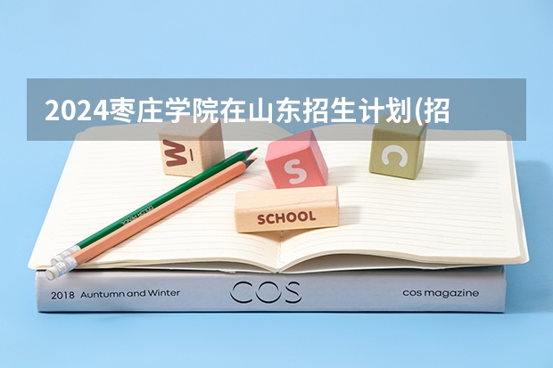 2024枣庄学院在山东招生计划(招生人数)