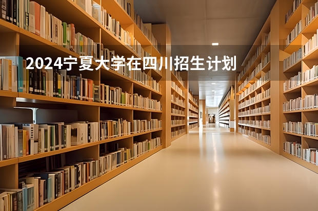2024宁夏大学在四川招生计划