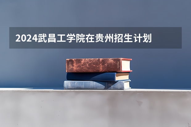 2024武昌工学院在贵州招生计划