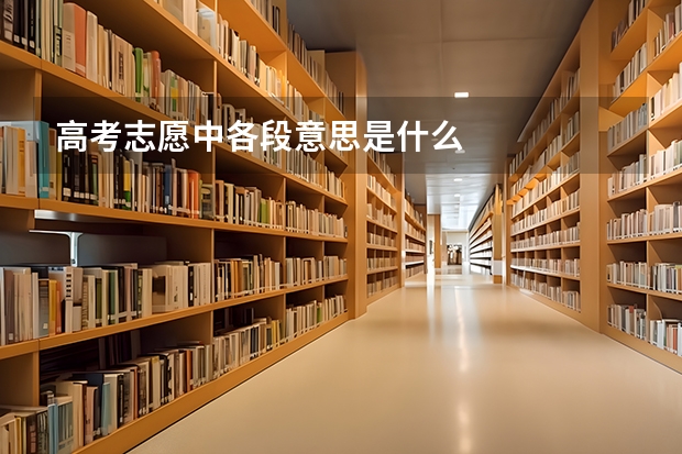高考志愿中各段意思是什么