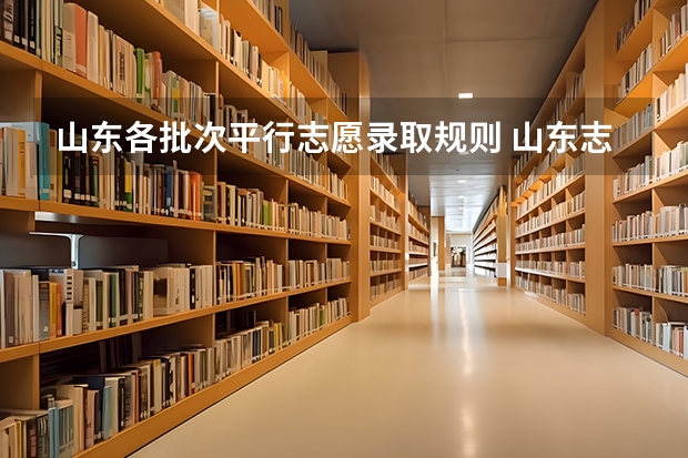 山东各批次平行志愿录取规则 山东志愿填报规则