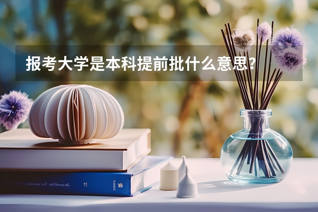 报考大学是本科提前批什么意思？