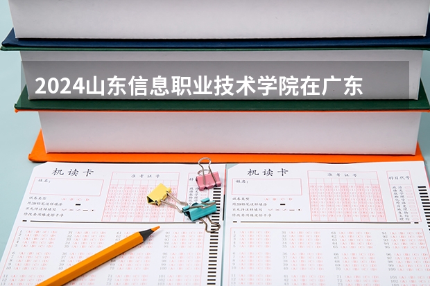 2024山东信息职业技术学院在广东招生计划