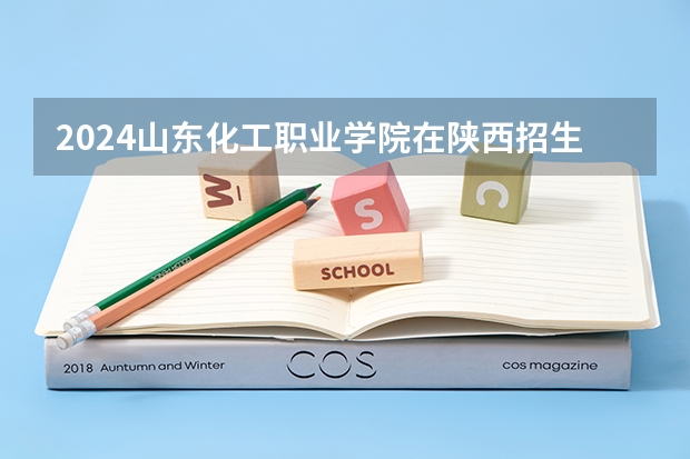 2024山东化工职业学院在陕西招生计划
