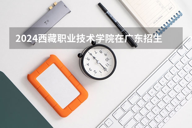 2024西藏职业技术学院在广东招生计划