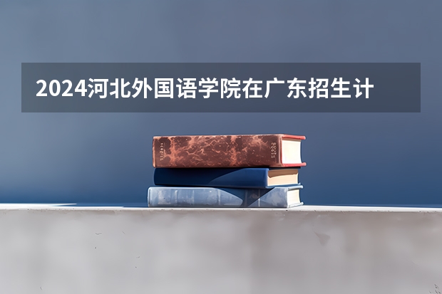 2024河北外国语学院在广东招生计划