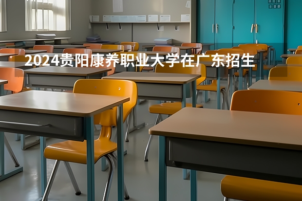 2024贵阳康养职业大学在广东招生计划