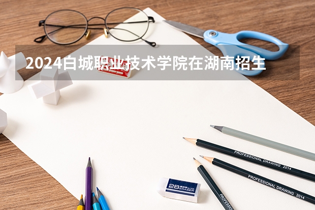 2024白城职业技术学院在湖南招生计划
