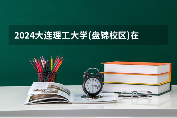 2024大连理工大学(盘锦校区)在湖南招生计划