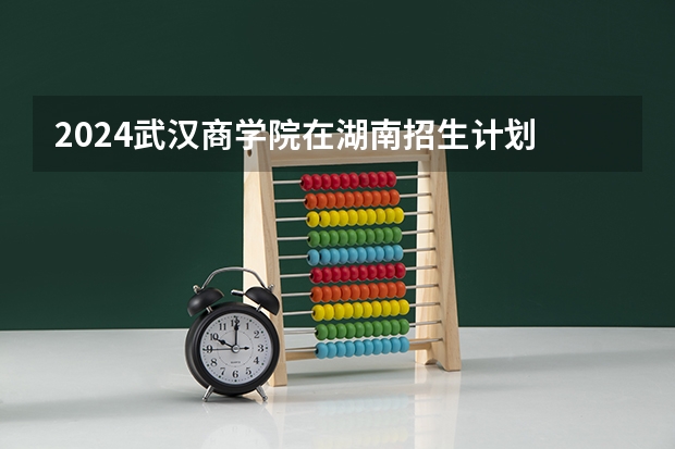 2024武汉商学院在湖南招生计划