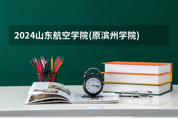 2024山东航空学院(原滨州学院)在天津招生计划
