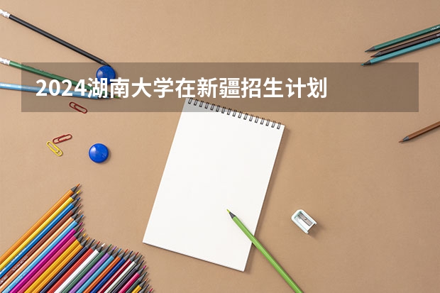 2024湖南大学在新疆招生计划
