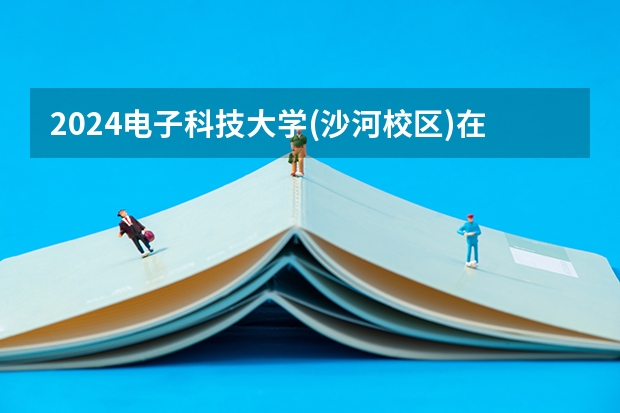2024电子科技大学(沙河校区)在福建招生计划