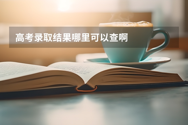 高考录取结果哪里可以查啊