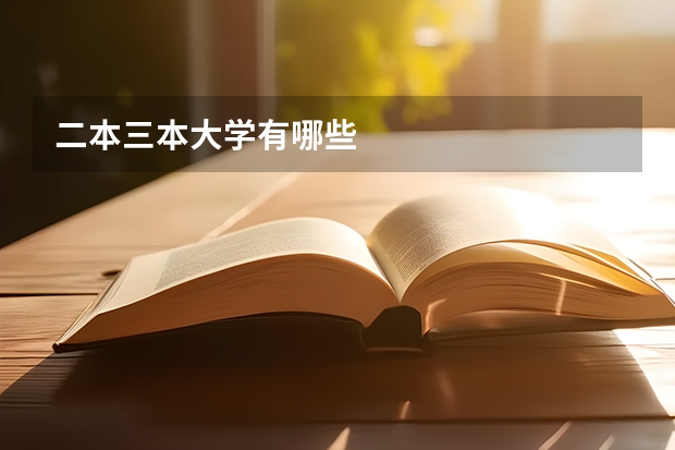 二本三本大学有哪些
