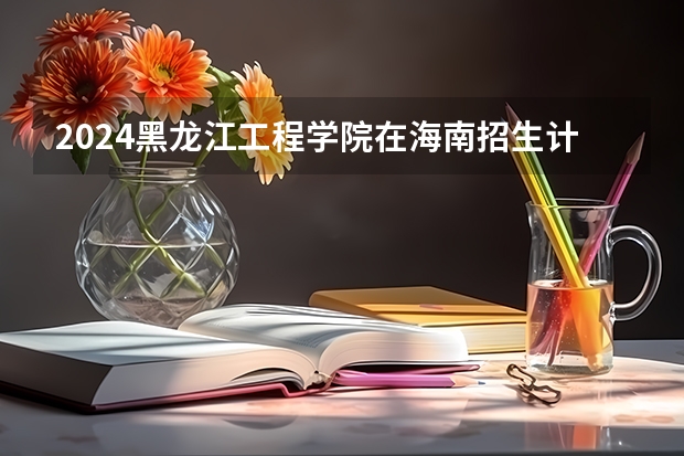 2024黑龙江工程学院在海南招生计划