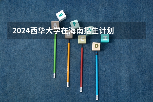 2024西华大学在海南招生计划