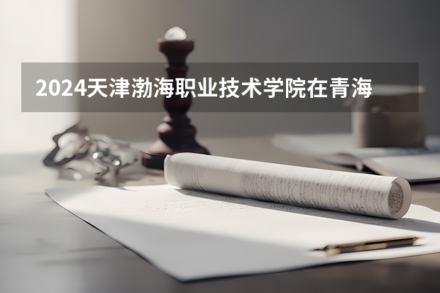 2024天津渤海职业技术学院在青海招生计划