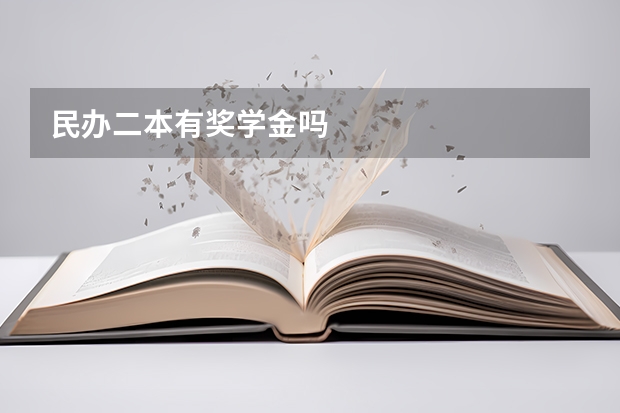 民办二本有奖学金吗