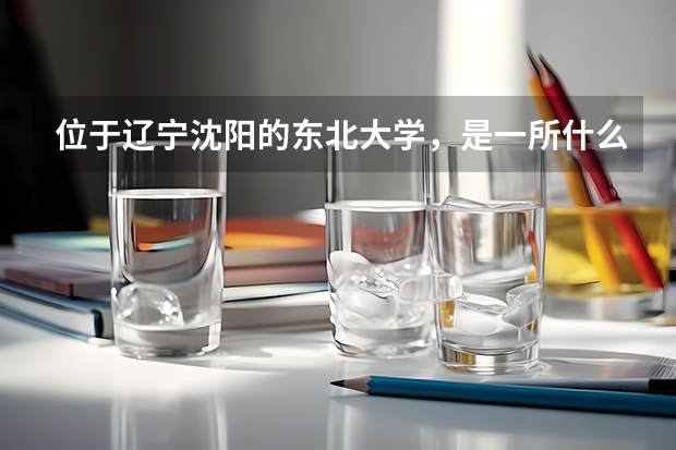 位于辽宁沈阳的东北大学，是一所什么水平的高校？
