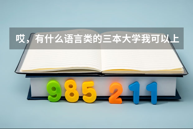 哎,有什么语言类的三本大学我可以上呢?