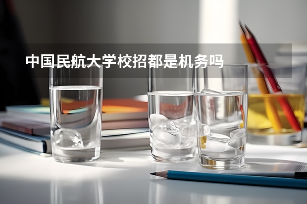中国民航大学校招都是机务吗