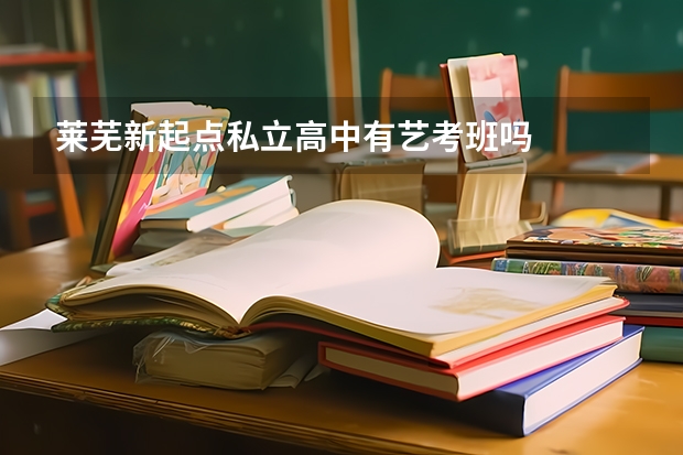 莱芜新起点私立高中有艺考班吗