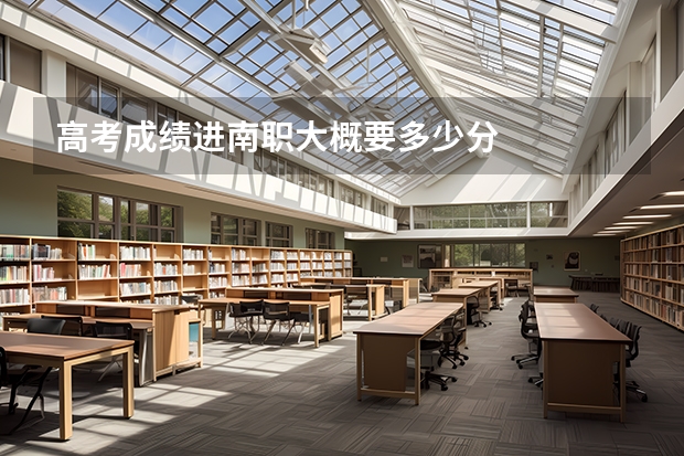 高考成绩进南职大概要多少分