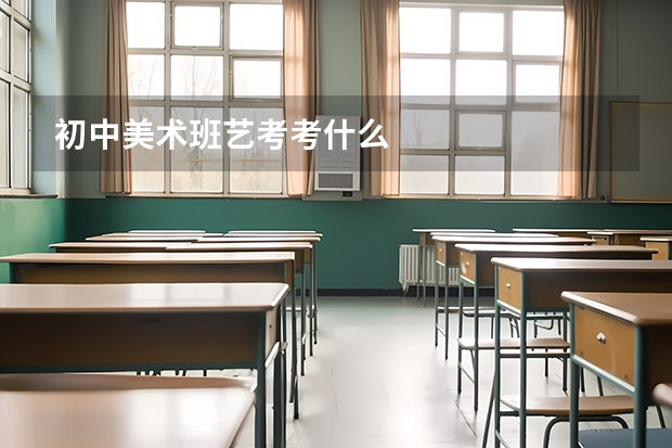 初中美术班艺考考什么