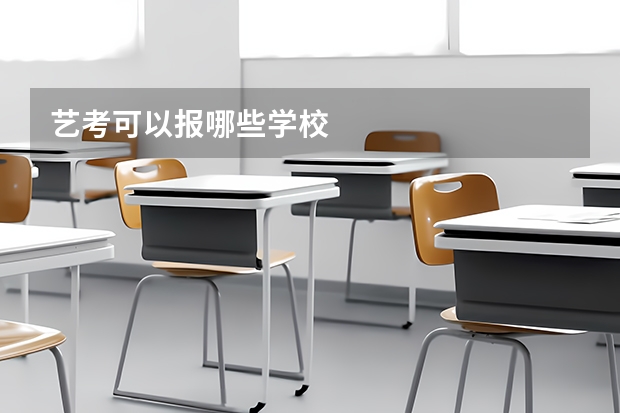 艺考可以报哪些学校