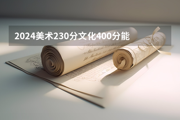 2024美术230分文化400分能上一本吗