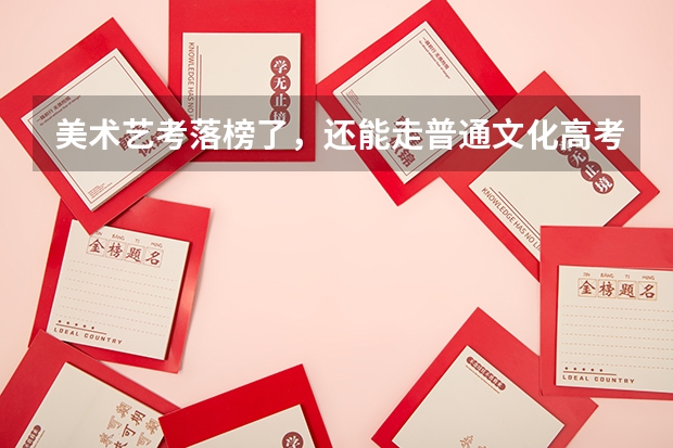 美术艺考落榜了，还能走普通文化高考吗？