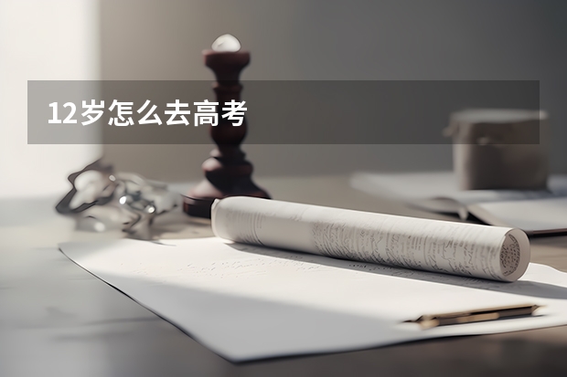 12岁怎么去高考