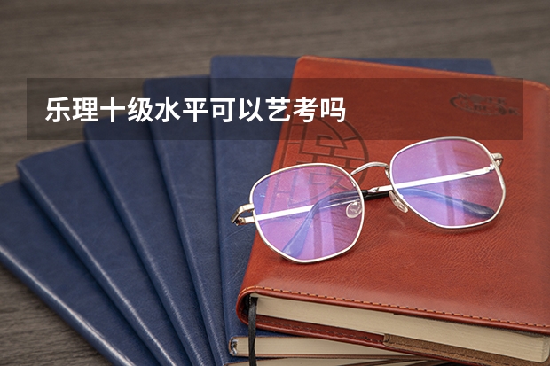 乐理十级水平可以艺考吗