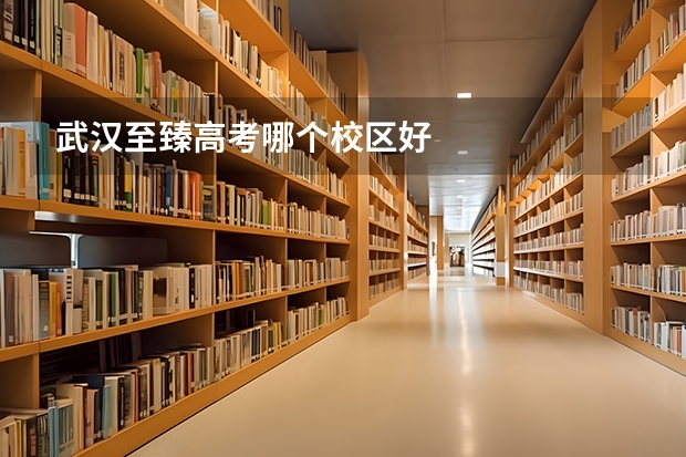 武汉至臻高考哪个校区好