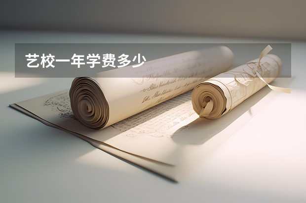 艺校一年学费多少