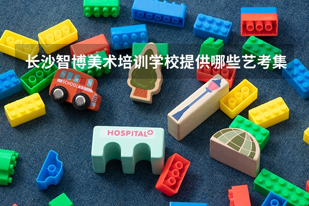 长沙智博美术培训学校提供哪些艺考集训课程？