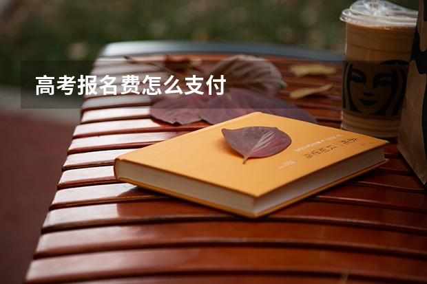 高考报名费怎么支付