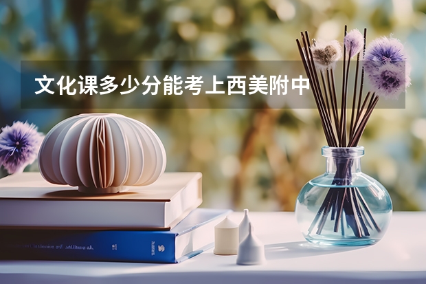 文化课多少分能考上西美附中